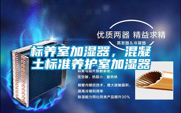 標(biāo)養(yǎng)室加濕器,混凝土標(biāo)準(zhǔn)養(yǎng)護(hù)室加濕器