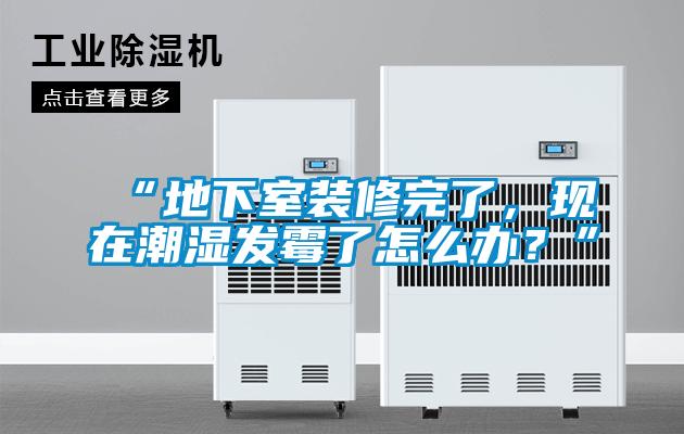 “地下室裝修完了，現(xiàn)在潮濕發(fā)霉了怎么辦？”