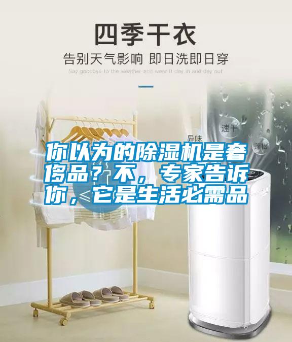 你以為的除濕機(jī)是奢侈品？不，專家告訴你，它是生活必需品