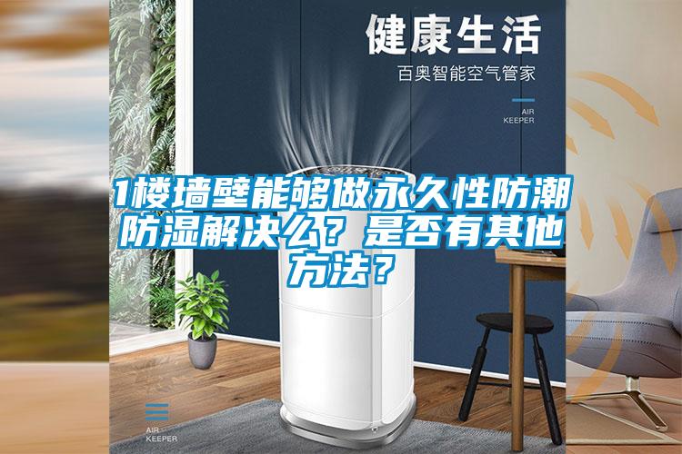 1樓墻壁能夠做永久性防潮防濕解決么?是否有其他方法?