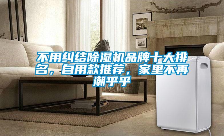 不用糾結除濕機品牌十大排名，自用款推薦，家里不再潮乎乎