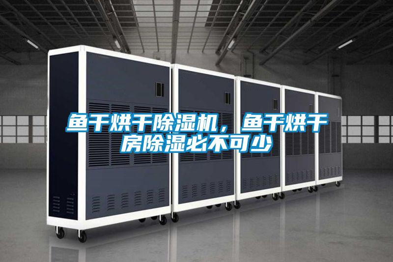 魚(yú)干烘干除濕機(jī),魚(yú)干烘干房除濕必不可少