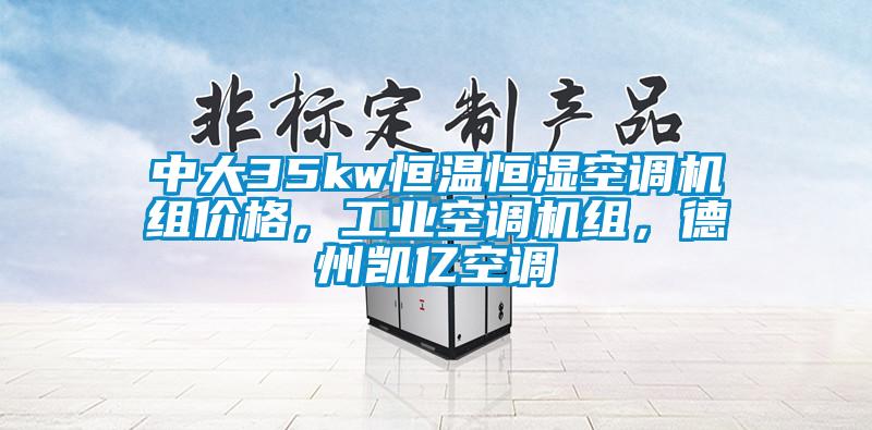 中大35kw恒溫恒濕空調(diào)機組價格,工業(yè)空調(diào)機組,德州凱億空調(diào)