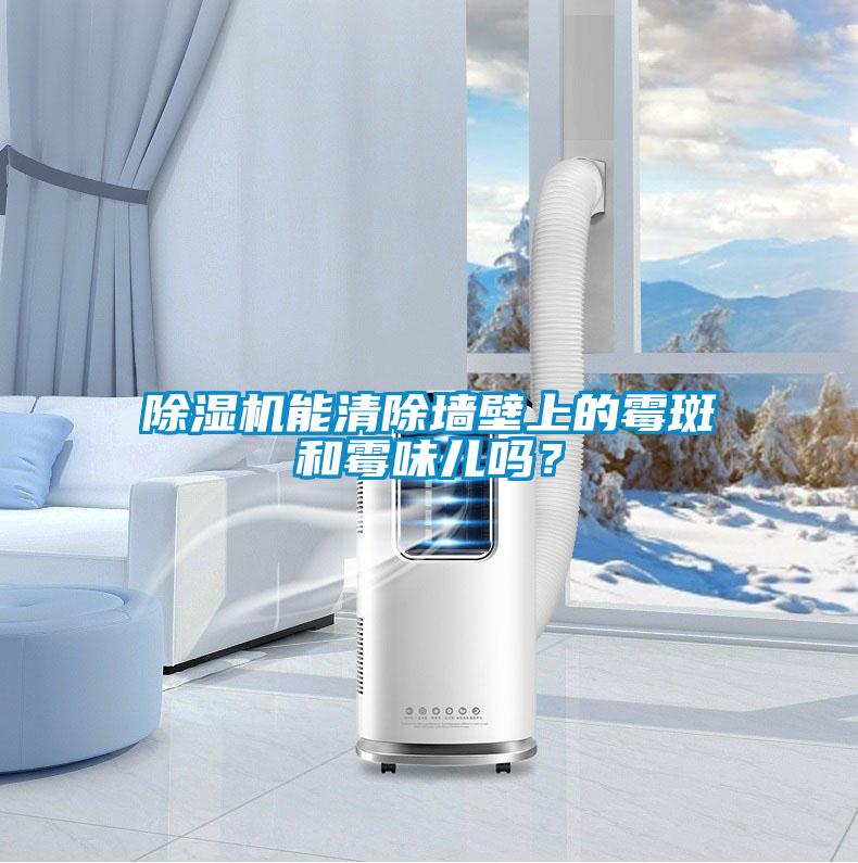 除濕機(jī)能清除墻壁上的霉斑和霉味兒?jiǎn)幔?></div>
								<div   id=