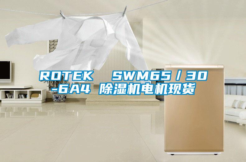 ROTEK SWM65/30-6A4 除濕機電機現貨
