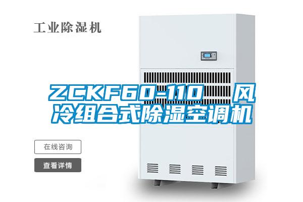 ZCKF60-110 風冷組合式除濕空調機