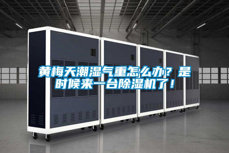 黃梅天潮濕氣重怎么辦?是時候來一臺除濕機了!