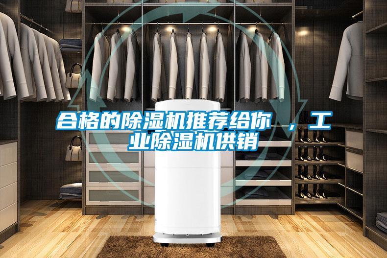 合格的除濕機推薦給你 ，工業除濕機供銷