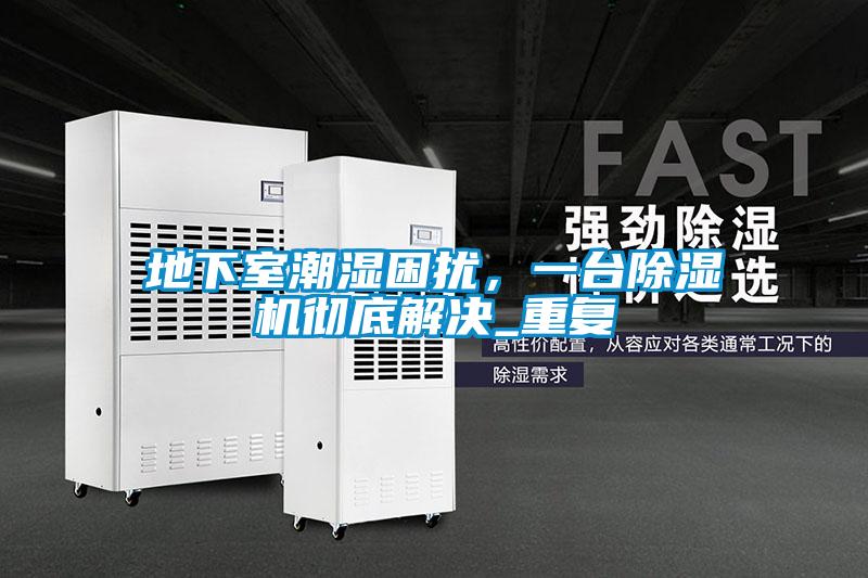 地下室潮濕困擾,一臺除濕機徹底解決_重復