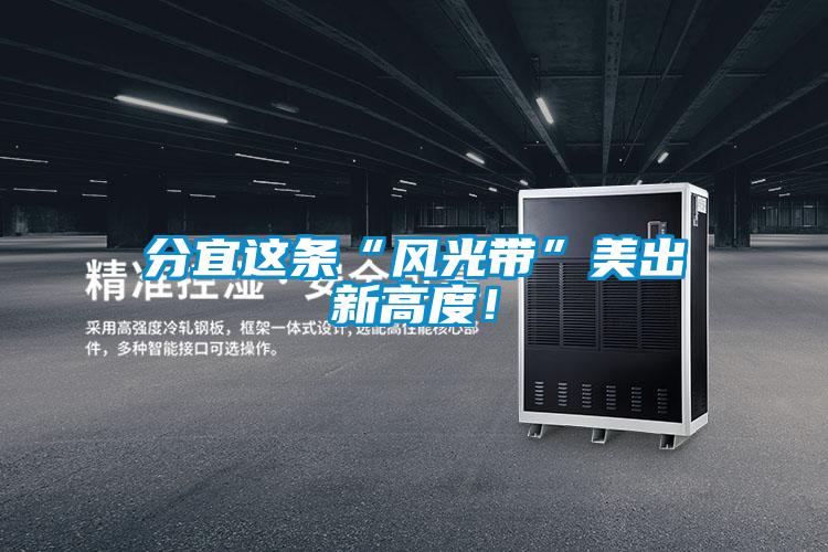 分宜這條“風(fēng)光帶”美出新高度!