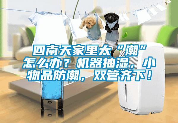 回南天家里太“潮”怎么辦?機器抽濕,小物品防潮,雙管齊下!