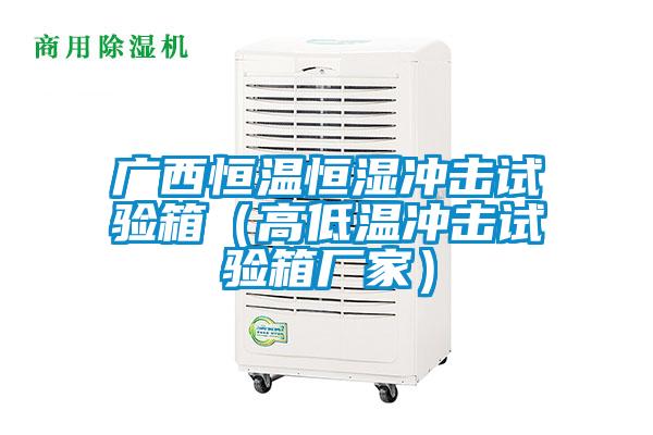 廣西恒溫恒濕沖擊試驗箱(高低溫沖擊試驗箱廠家)