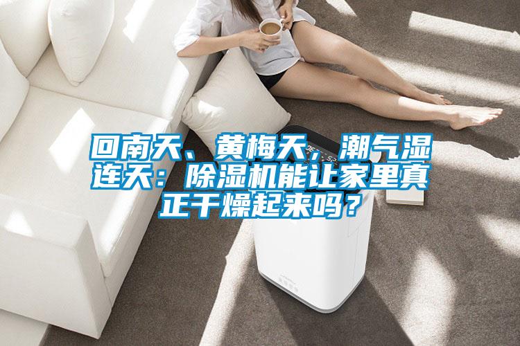 回南天、黃梅天,潮氣濕連天:除濕機(jī)能讓家里真正干燥起來(lái)嗎?