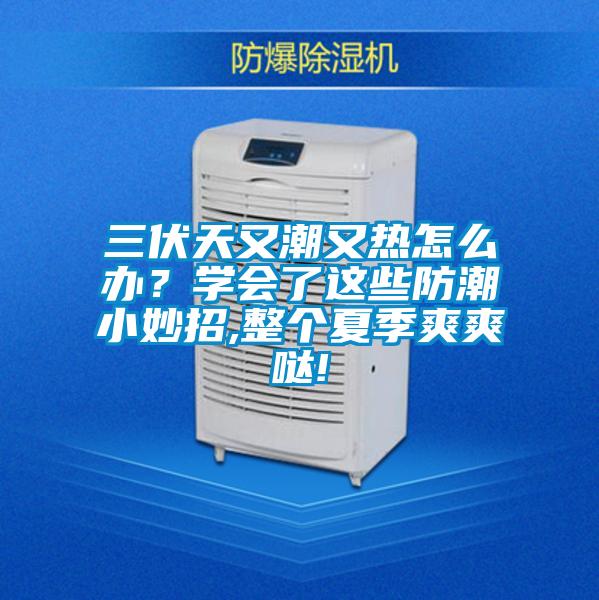 三伏天又潮又熱怎么辦?學會了這些防潮小妙招,整個夏季爽爽噠!