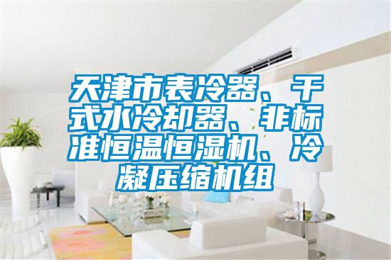 天津市表冷器、干式水冷卻器、非標準恒溫恒濕機、冷凝壓縮機組