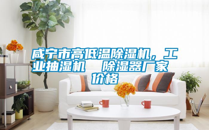 咸寧市高低溫除濕機,工業(yè)抽濕機 除濕器廠家 價格