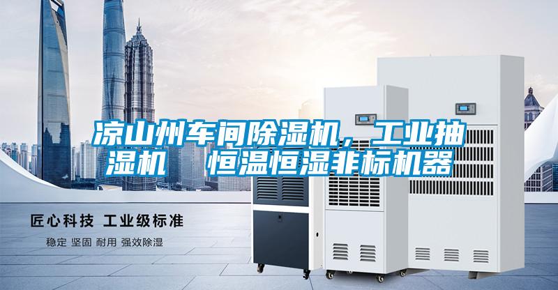 涼山州車間除濕機,工業抽濕機 恒溫恒濕非標機器
