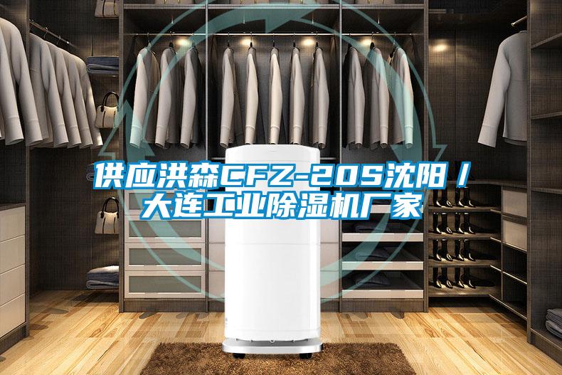 供應(yīng)洪森CFZ-20S沈陽/大連工業(yè)除濕機廠家
