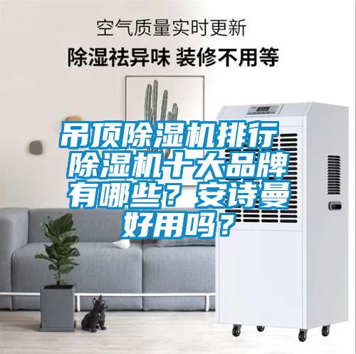 吊頂除濕機排行 除濕機十大品牌有哪些？安詩曼好用嗎？