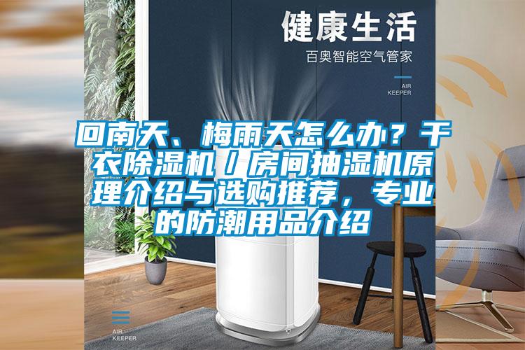 回南天、梅雨天怎么辦？干衣除濕機／房間抽濕機原理介紹與選購推薦，專業(yè)的防潮用品介紹