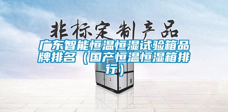 廣東智能恒溫恒濕試驗箱品牌排名(國產恒溫恒濕箱排行)