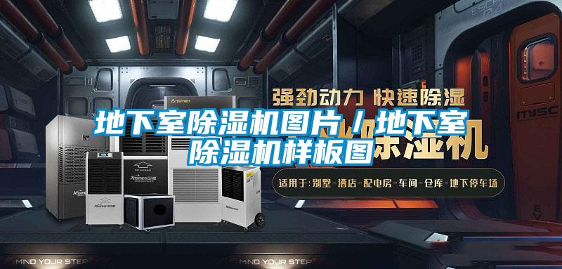 地下室除濕機圖片/地下室除濕機樣板圖