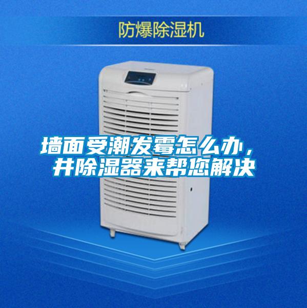 墻面受潮發霉怎么辦,東井除濕器來幫您解決