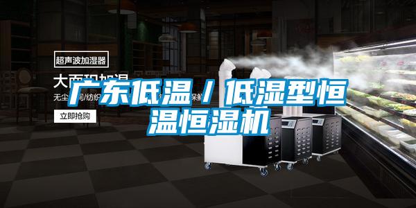 廣東低溫/低濕型恒溫恒濕機(jī)