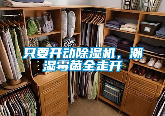 只要開動除濕機(jī),潮濕霉菌全走開