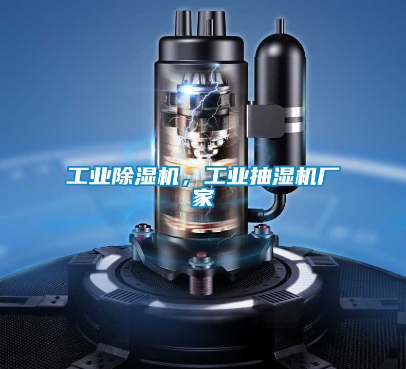 工業(yè)除濕機,工業(yè)抽濕機廠家