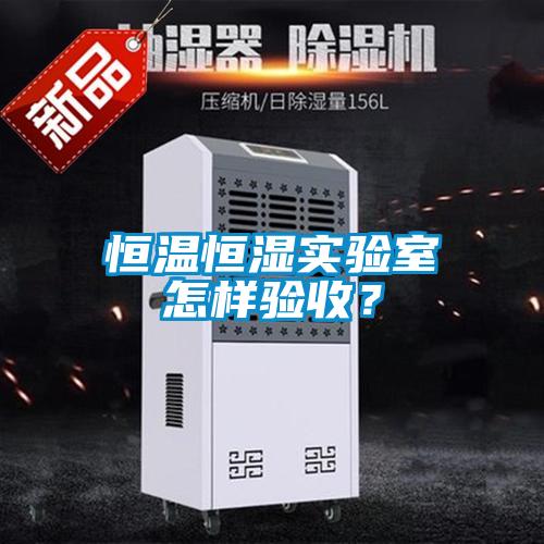 恒溫恒濕實驗室怎樣驗收?