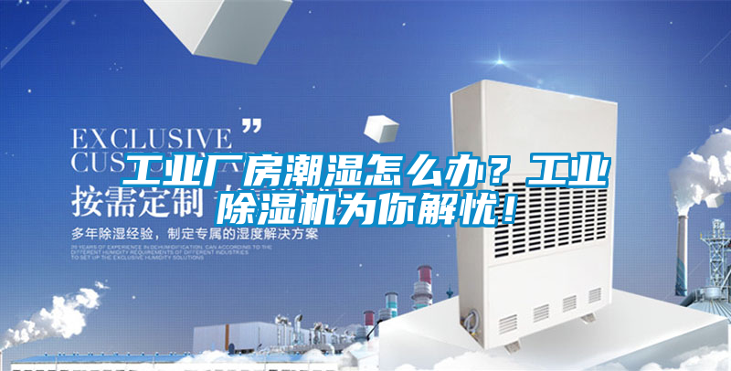 工業廠房潮濕怎么辦?工業除濕機為你解憂!