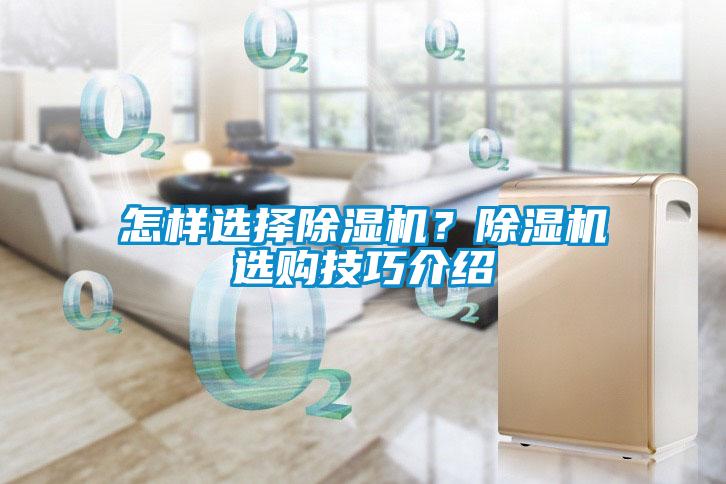 怎樣選擇除濕機(jī)?除濕機(jī)選購(gòu)技巧介紹