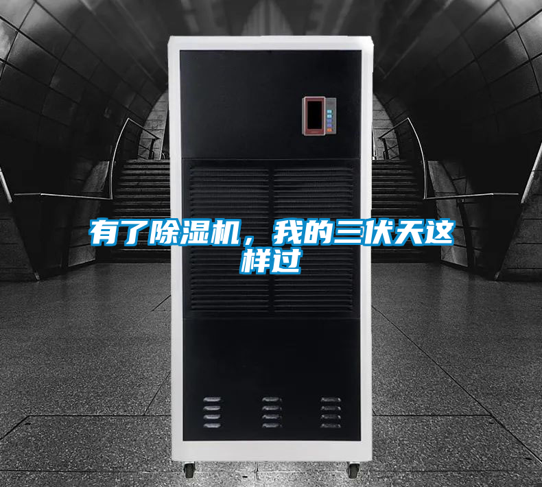 有了除濕機，我的三伏天這樣過