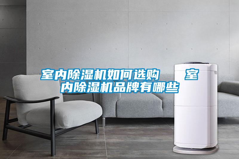 室內除濕機如何選購 室內除濕機品牌有哪些