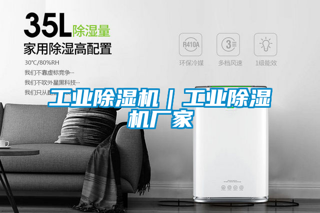 工業(yè)除濕機|工業(yè)除濕機廠家