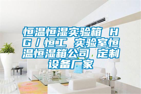 恒溫恒濕實驗箱 HG/恒工 實驗室恒溫恒濕箱公司 定制設(shè)備廠家