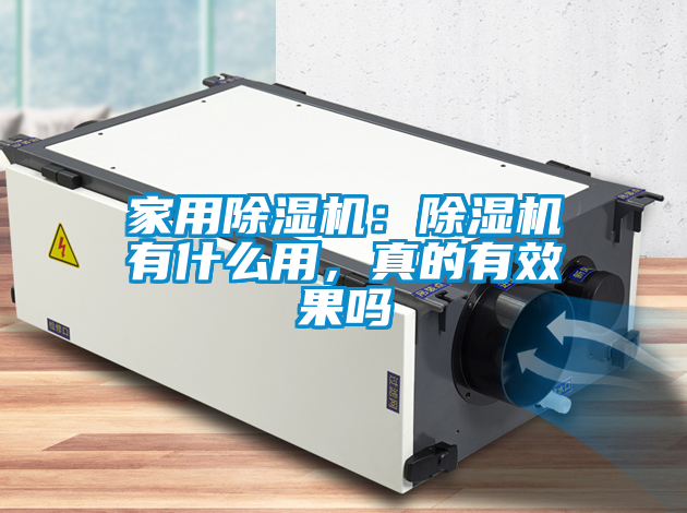 家用除濕機:除濕機有什么用,真的有效果嗎