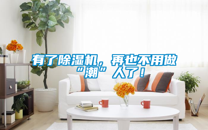 有了除濕機，再也不用做“潮”人了！