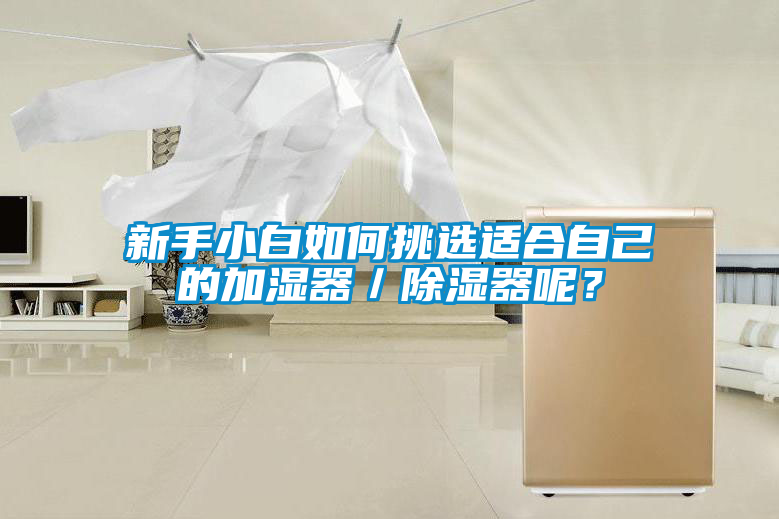 新手小白如何挑選適合自己的加濕器/除濕器呢?