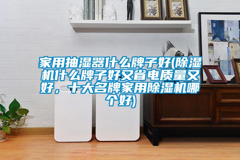 家用抽濕器什么牌子好(除濕機什么牌子好又省電質量又好，十大名牌家用除濕機哪個好)
