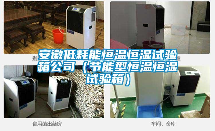 安徽低耗能恒溫恒濕試驗(yàn)箱公司(節(jié)能型恒溫恒濕試驗(yàn)箱)