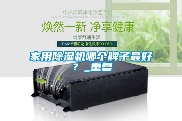 家用除濕機哪個牌子最好?_重復