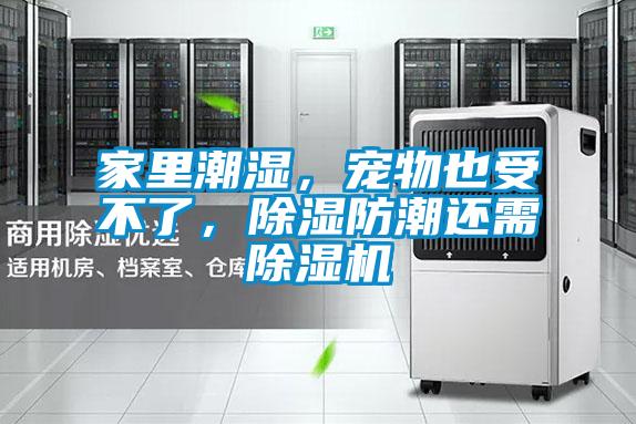 家里潮濕,寵物也受不了,除濕防潮還需除濕機(jī)