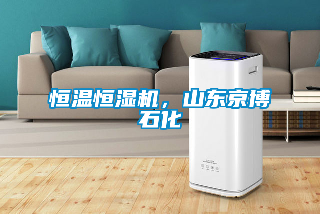 恒溫恒濕機,山東京博石化