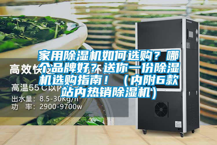 家用除濕機如何選購？哪個品牌好？送你一份除濕機選購指南！（內附6款站內熱銷除濕機）