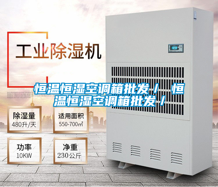 恒溫恒濕空調(diào)箱批發(fā)/ 恒溫恒濕空調(diào)箱批發(fā)/