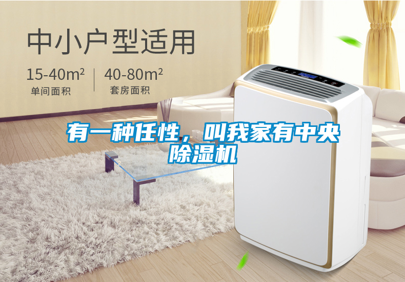 有一種任性，叫我家有中央除濕機