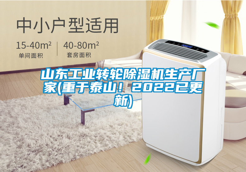 山東工業轉輪除濕機生產廠家(重于泰山！2022已更新)