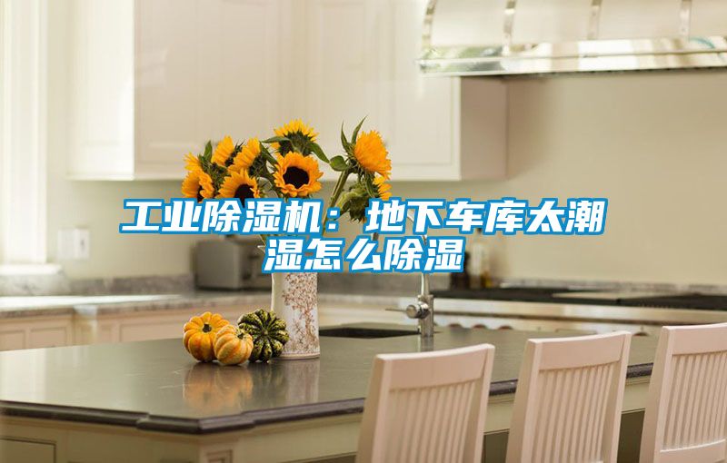 工業(yè)除濕機(jī):地下車(chē)庫(kù)太潮濕怎么除濕